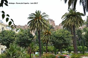 243- Malaga paseo de Espana
